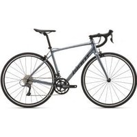 Giant Contend 2 Road Bike 2026 Medium/Large - Knight Shield