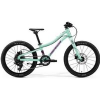Merida Matts J.20+ Kids Bike 2026 20" - Fall Green (Red Lego/Black)